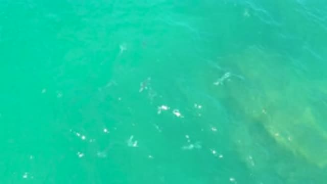 LAGUNA BEACH BCS MEXICO-2020: Top View Of Water Flow Of A Sea