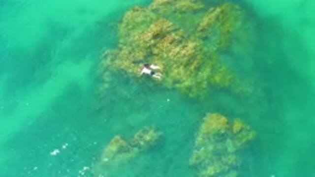 PALMILLA BEACH BAJA CALIFORNIA SUR MEXICO-2020: Aerial View of Snorkeler on Shallow Reef