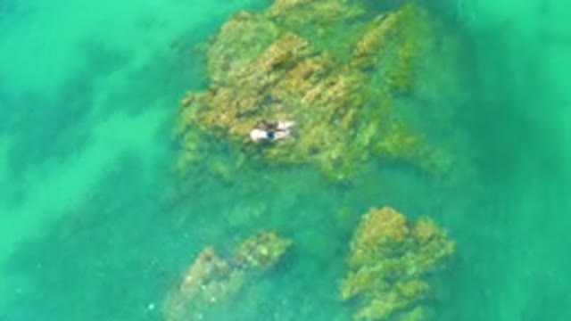 PALMILLA BEACH BAJA CALIFORNIA SUR MEXICO-2020: Aerial View of Surfer Paddling on Reef