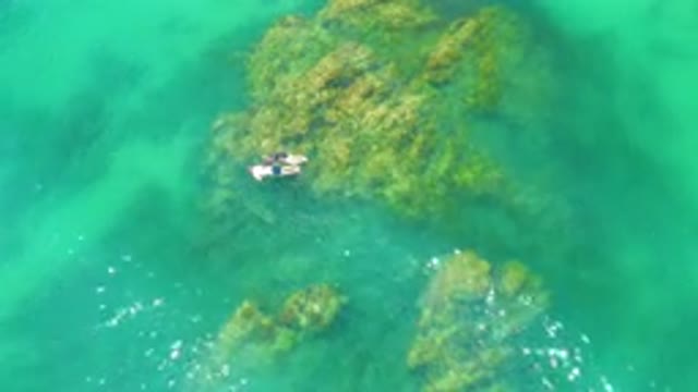 PALMILLA BEACH BAJA CALIFORNIA SUR MEXICO-2020: Aerial View Of Snorkelers Over Shallow Reef