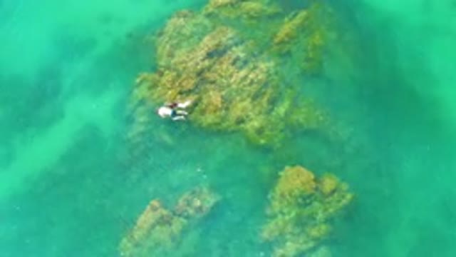 PALMILLA BEACH BAJA CALIFORNIA SUR MEXICO-2020: Aerial View Of Person Swimming In Turquoise Water
