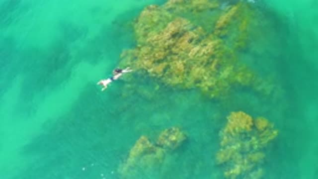 Snorkelers in clear water at Palmilla Beach