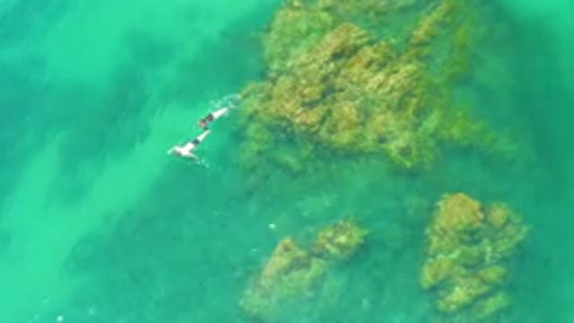 PALMILLA BEACH BAJA CALIFORNIA SUR MEXICO-2020: Aerial View of Snorkelers Swimming Over Coral Reef