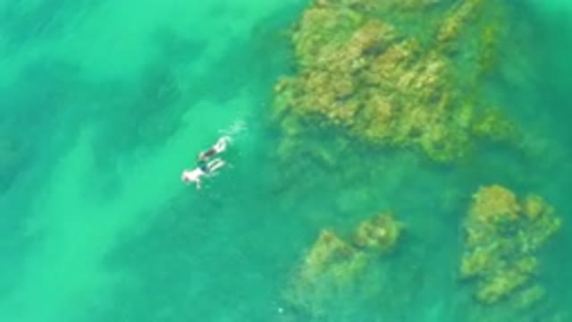 PALMILLA BEACH BAJA CALIFORNIA SUR MEXICO-2020: Aerial View Of Snorkelers In Turquoise Water