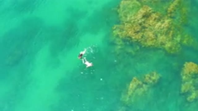 PALMILLA BEACH BAJA CALIFORNIA SUR MEXICO-2020: Aerial View of Snorkelers in Turquoise Water