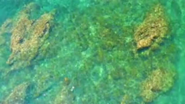 PALMILLA BEACH BCS MEXICO-2020: Relaxing Rippling Turquoise and Green Crystal Waters