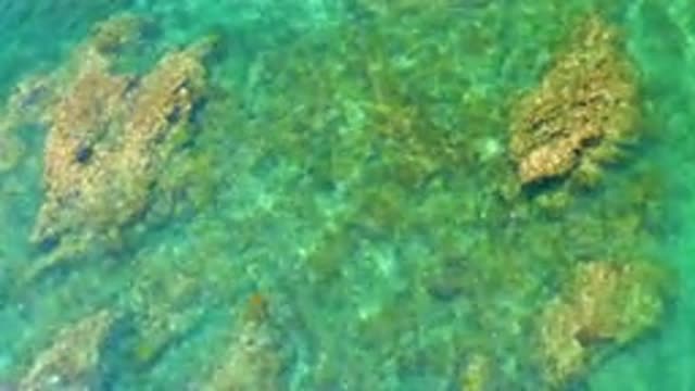 PALMILLA BEACH BCS MEXICO-2020: View Of Coastal Sea Landscape And Clear Waters