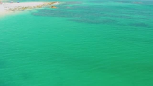 PALMILLA BEACH BCS MEXICO-2020: Bird View Open Clear Shallow Water Coral And Sand