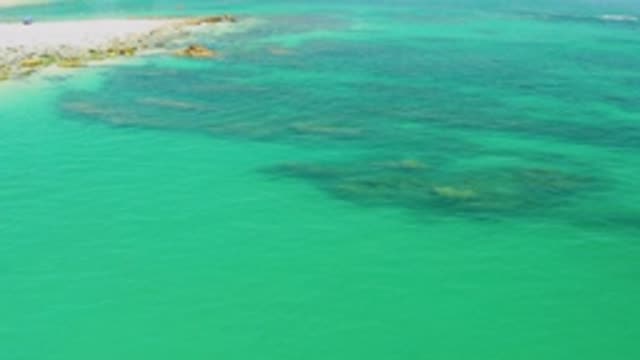 PALMILLA BEACH BCS MEXICO-2020: Beautiful Natural Ocean Islands We See Here