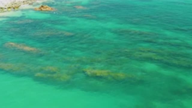 PALMILLA BEACH BCS MEXICO-2020: Hero-View Coral Clear Waters Breeze Natural