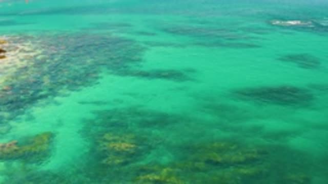 PALMILLA BEACH BCS MEXICO-2020: Top View Of Transparent Clear Beach Water