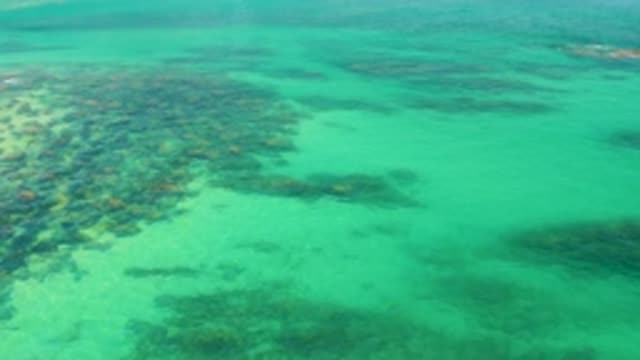 PALMILLA BEACH BCS MEXICO-2020: Crystal Clear Water And Seabed