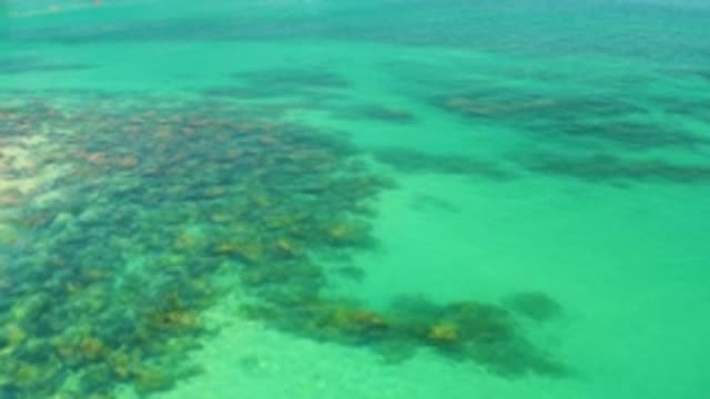 PALMILLA BEACH BCS MEXICO-2020: Overlapping Piles of Scattered Rocks Submerged