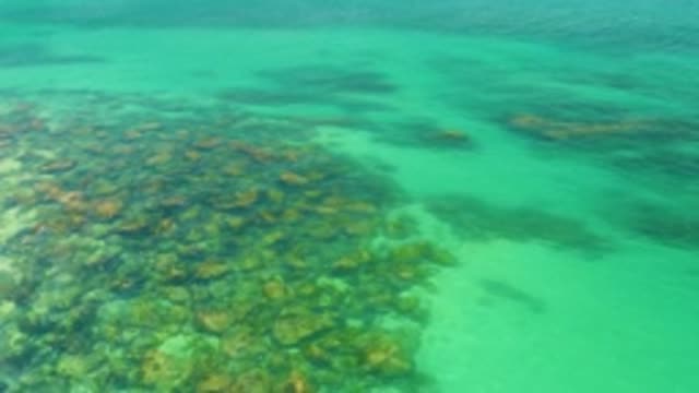 PALMILLA BEACH BCS MEXICO-2020: A Panning Camera Shot Of A Clear Green Blue Ocean