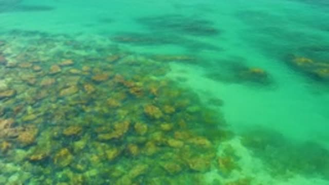 PALMILLA BEACH BCS MEXICO-2020: Gliding Above Tropical Shallow Sea Floor With