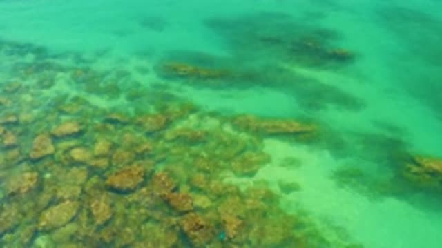 PALMILLA BEACH BCS MEXICO-2020: Rocks Under The Green Ocean
