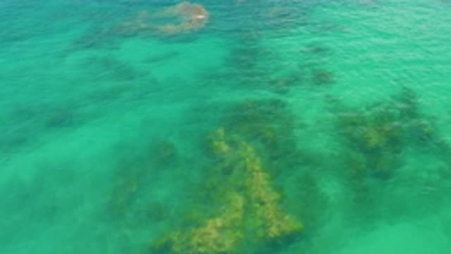 M12-20-1264-08-08-20-2020-palmilla-beach-bcs-mexico-DJI_0922_0001.mp4