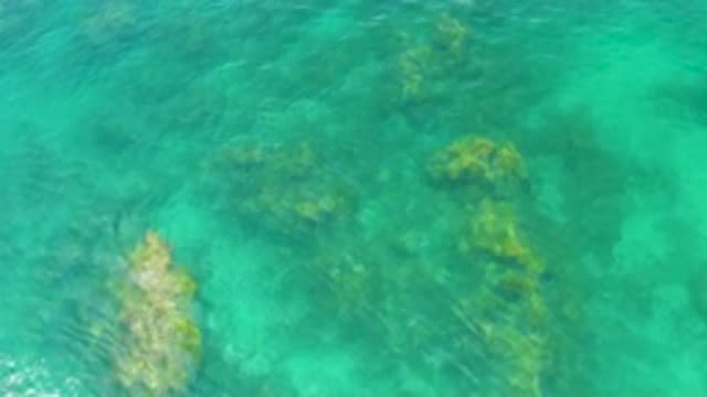 PALMILLA BEACH BCS MEXICO-2020: Clear Ocean Water Reveals Rocky Bottom