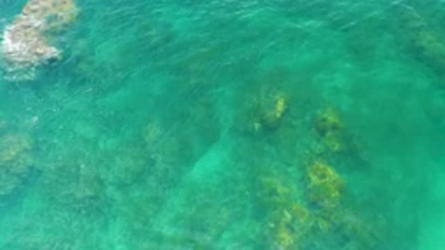 PALMILLA BEACH BCS MEXICO-2020: Beautiful View Of The Underwater Coral From The
