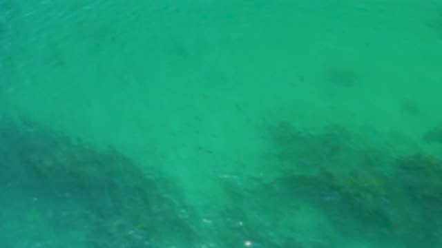 PALMILLA BEACH BCS MEXICO-2020: Deep But Clear Green Ocean