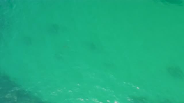 PALMILLA BEACH BCS MEXICO-2020: The Green Clear Water On A Beautiful Day