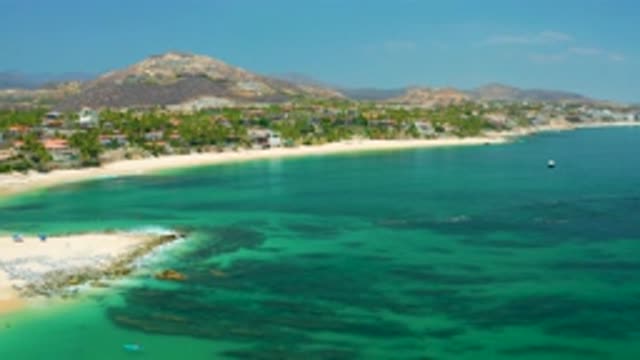 PALMILLA BEACH BCS MEXICO-2020: A Quick View Of A Tropical Ocean Habitat And