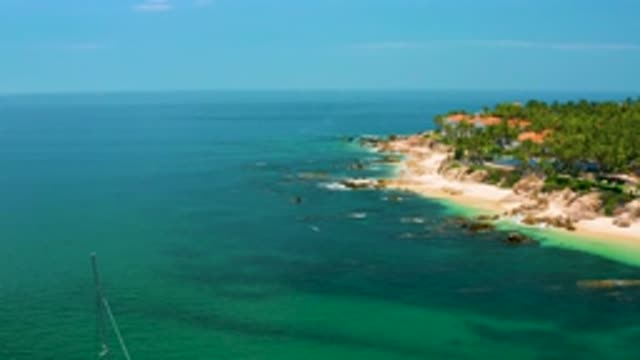 PALMILLA BEACH BCS MEXICO-2020: Tall Green Coconut Trees on Sandy Beach with Blue Waves