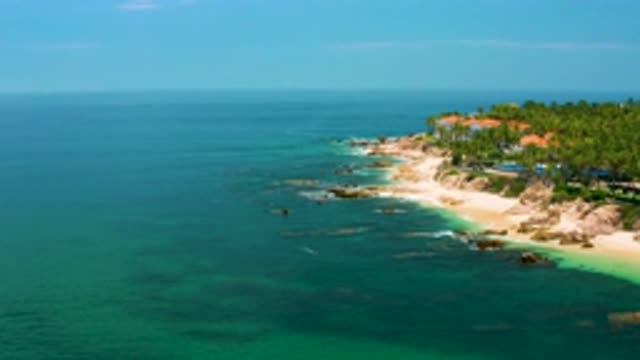 PALMILLA BEACH BCS MEXICO-2020: Green Tall Coconut Trees In The Blue Crystal