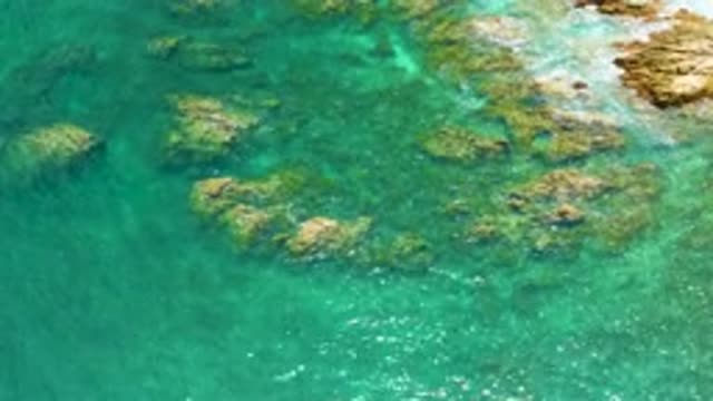 PALMILLA BEACH BCS MEXICO-2020: Corals Reefs In The Ocean Simple View Of The