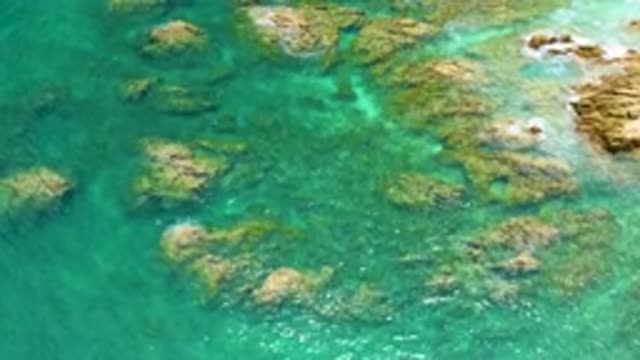 PALMILLA BEACH BCS MEXICO-2020: Beautiful Cool Blue Waters