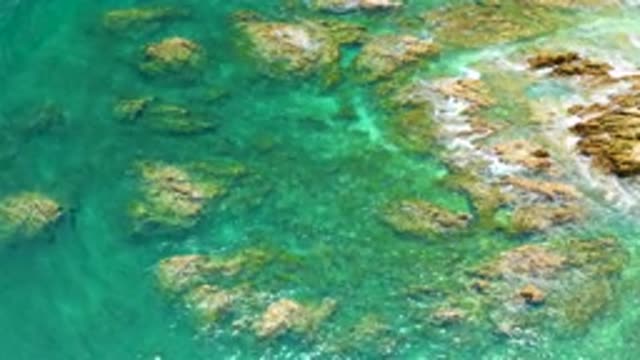 PALMILLA BEACH BCS MEXICO-2020: Calm Waves In A Crystalline Blue Water And