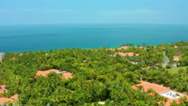 PALMILLA BEACH BCS MEXICO-2020: Aerial Footage Of Dense Trees With Some Spots