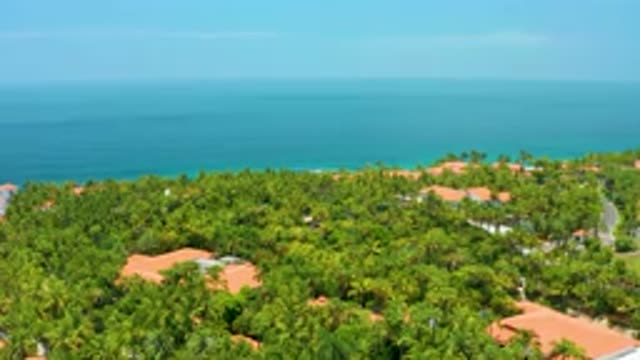 PALMILLA BEACH BCS MEXICO-2020: Trees Near Beach Looking Beautiful