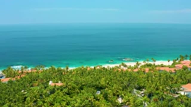 PALMILLA BEACH BCS MEXICO-2020: Lot Of Green Trees Near The Blue Sea Water And
