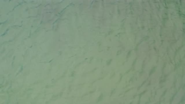 LA RIBERA BCS MEXICO-2020: Opaque Grey Green Sea Or River Water With Sinusoidal Ripples