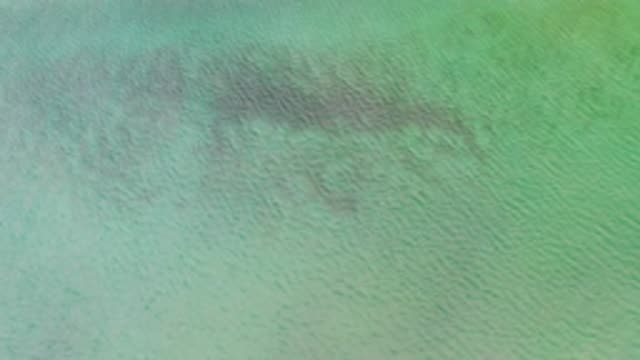 LA RIBERA BCS MEXICO-2020: Drone Video Lowering Down Over Calm Green Water