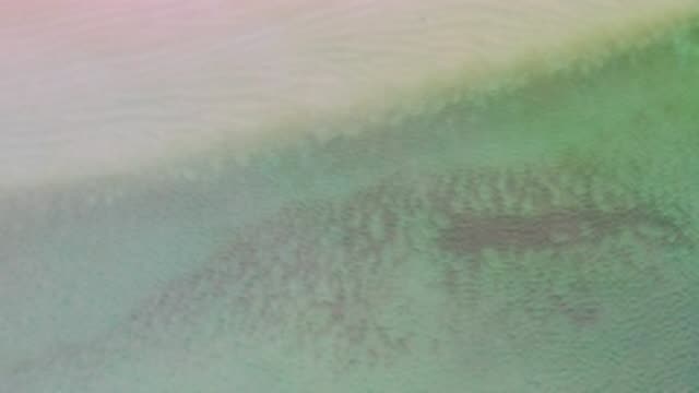 M12-20-1435-09-20-2020-la-ribera-bcs-mexico-DJI_0950_0002.mp4