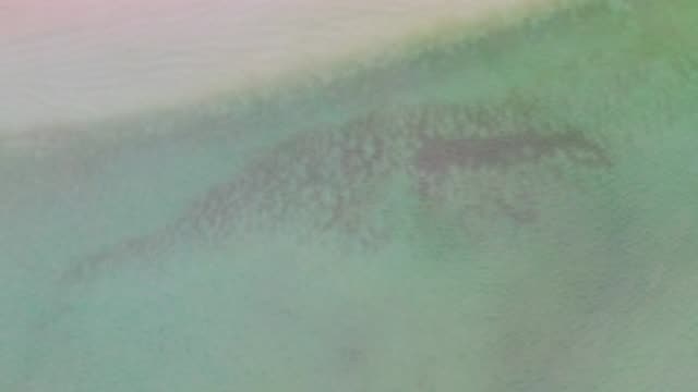M12-20-1436-09-20-2020-la-ribera-bcs-mexico-DJI_0950_0003.mp4