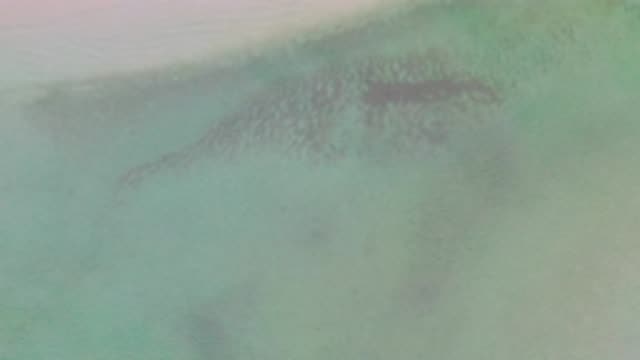 LA RIBERA BCS MEXICO-2020: Bluish And Green Sea Water With Mild Slow Waves Lot