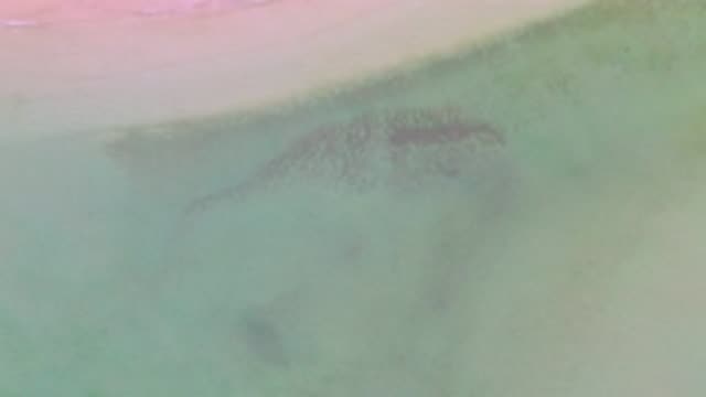 LA RIBERA BCS MEXICO-2020: Aerial Shot Looking Directly Down At The Shoreline
