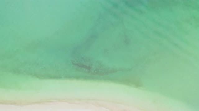 M12-20-1439-09-20-2020-la-ribera-bcs-mexico-DJI_0951_0001.mp4