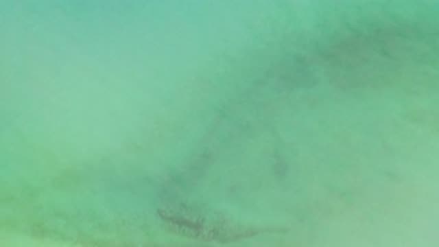 LA RIBERA BCS MEXICO-2020: Bird's Eye View Panning Over Calm And Serene Greenish Waters