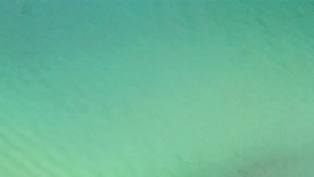 LA RIBERA BCS MEXICO-2020: Aerial Scan Spanning The Top Of Very Blue Ocean