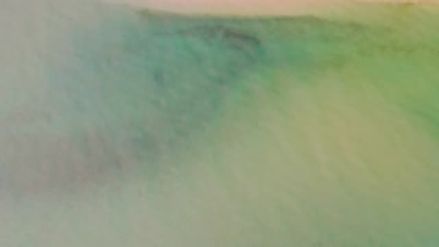 M12-20-1444-09-20-2020-la-ribera-bcs-mexico-DJI_0952_0003.mp4