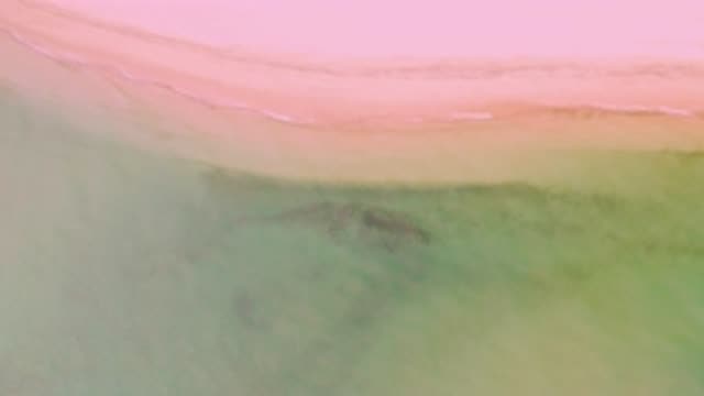 LA RIBERA BCS MEXICO-2020: Heavy Mist Rolls Over Pink Sky And Boulder Centered
