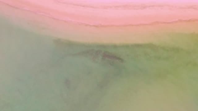 M12-20-1446-09-20-2020-la-ribera-bcs-mexico-DJI_0952_0005.mp4