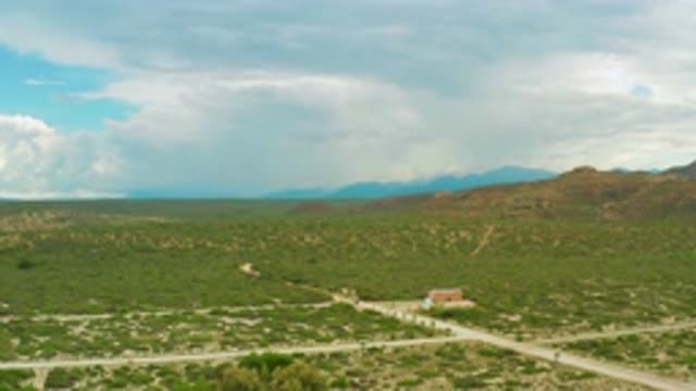 LA RIBERA BCS MEXICO-2020: Lot Of Tall Trees And Green Bushes In A Plain Area
