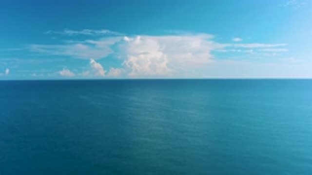 LA RIBERA BCS MEXICO-2020: An Exhausted Bird's Eye View That Highlights Where