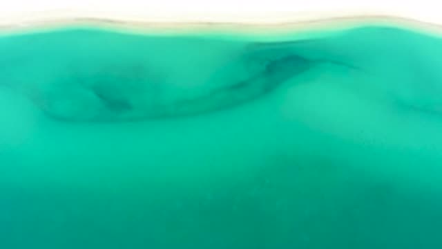 M12-20-1544-09-20-2020-la-ribera-bcs-mexico-DJI_0968_0004.mp4