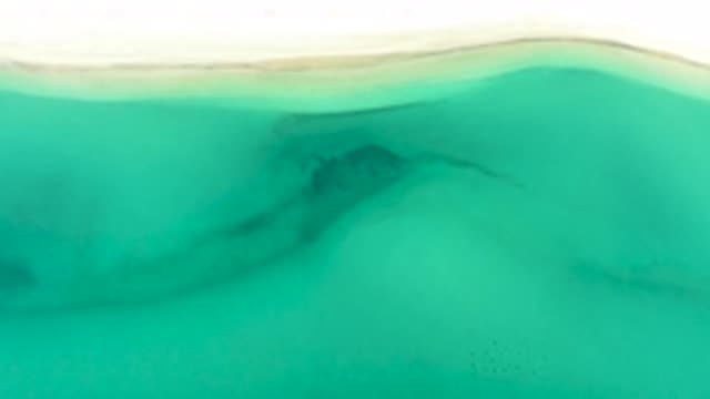 M12-20-1545-09-20-2020-la-ribera-bcs-mexico-DJI_0969_0001.mp4